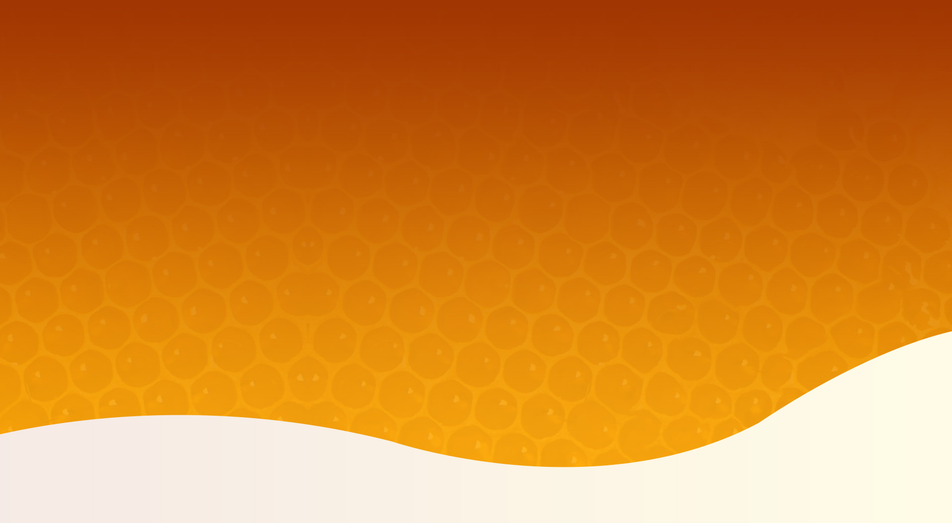 bg-slider1.jpg