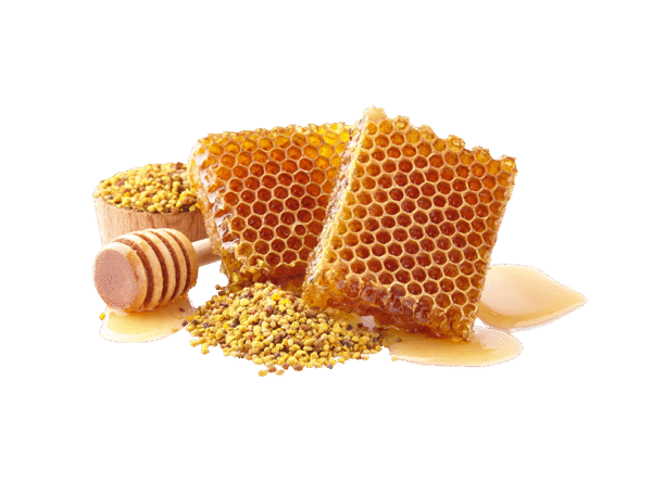RAW EUCALYPTUS HONEY - Image 4