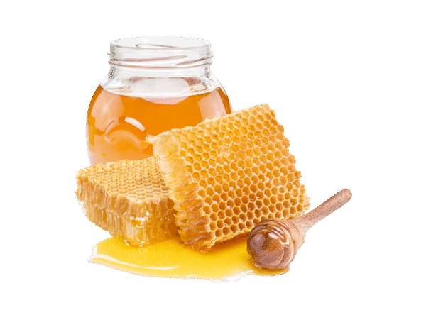 RAW EUCALYPTUS HONEY - Image 2