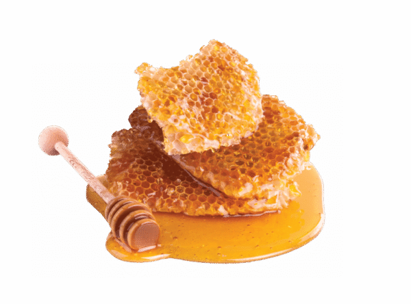 SEA HONEY