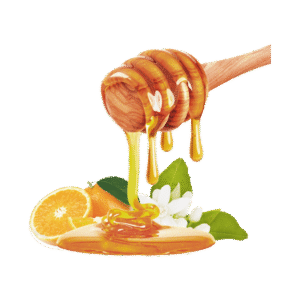 HADDAR 1 LB HONEY
