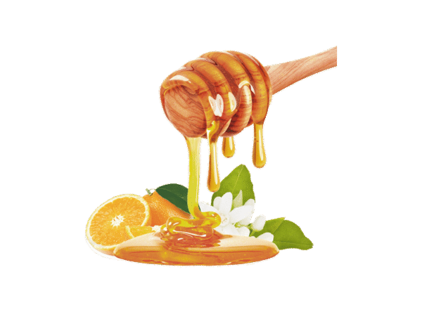 HADDAR 1 LB HONEY